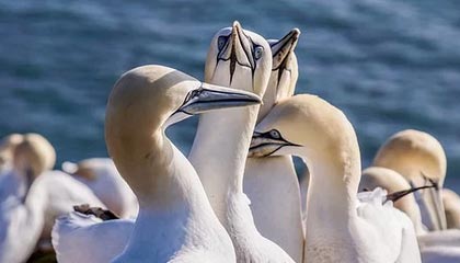 金沙娱乐App下载|武术赛事v1.8.9